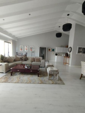 Sandton Penthouse